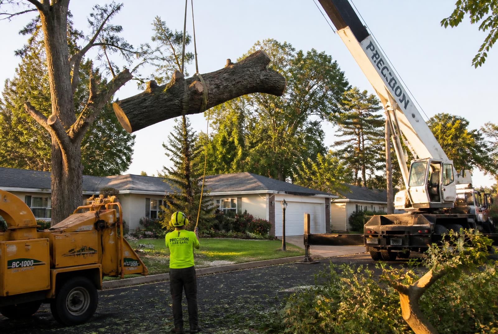 Professional tree-removal crew using a crane to remove a large tree at a California home